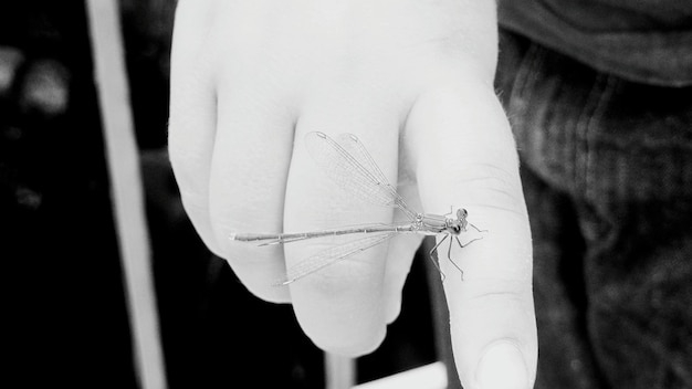 detail rukou pri výšivke